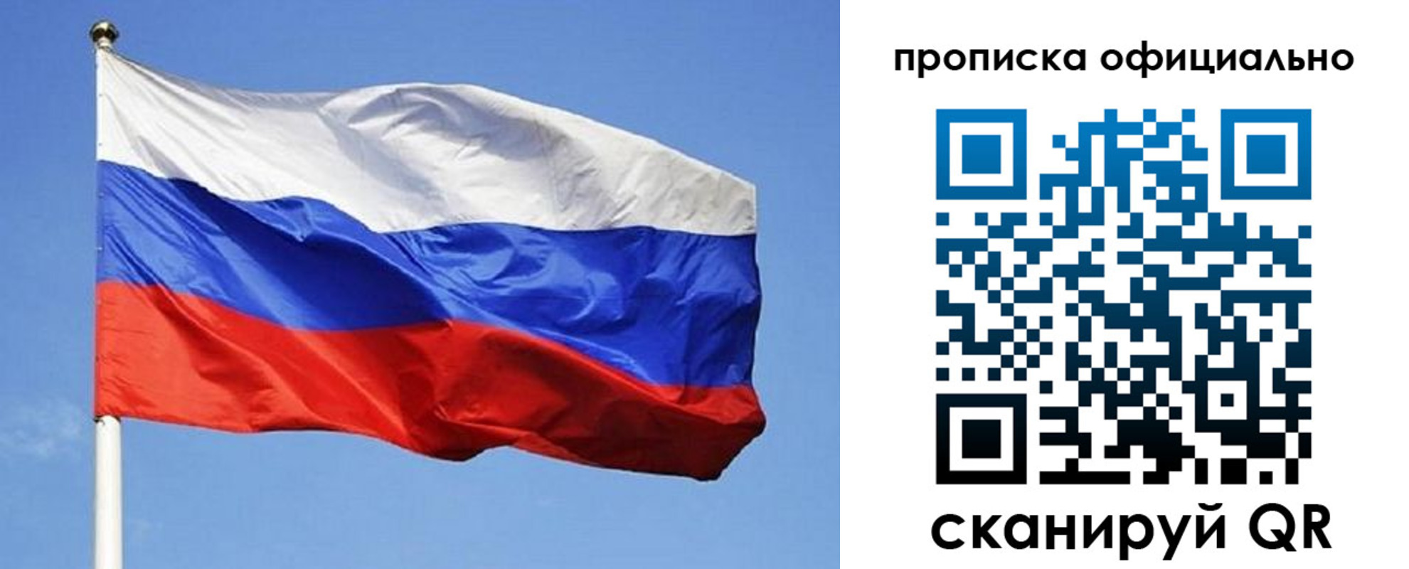 прописка ребенка в Дмитрове