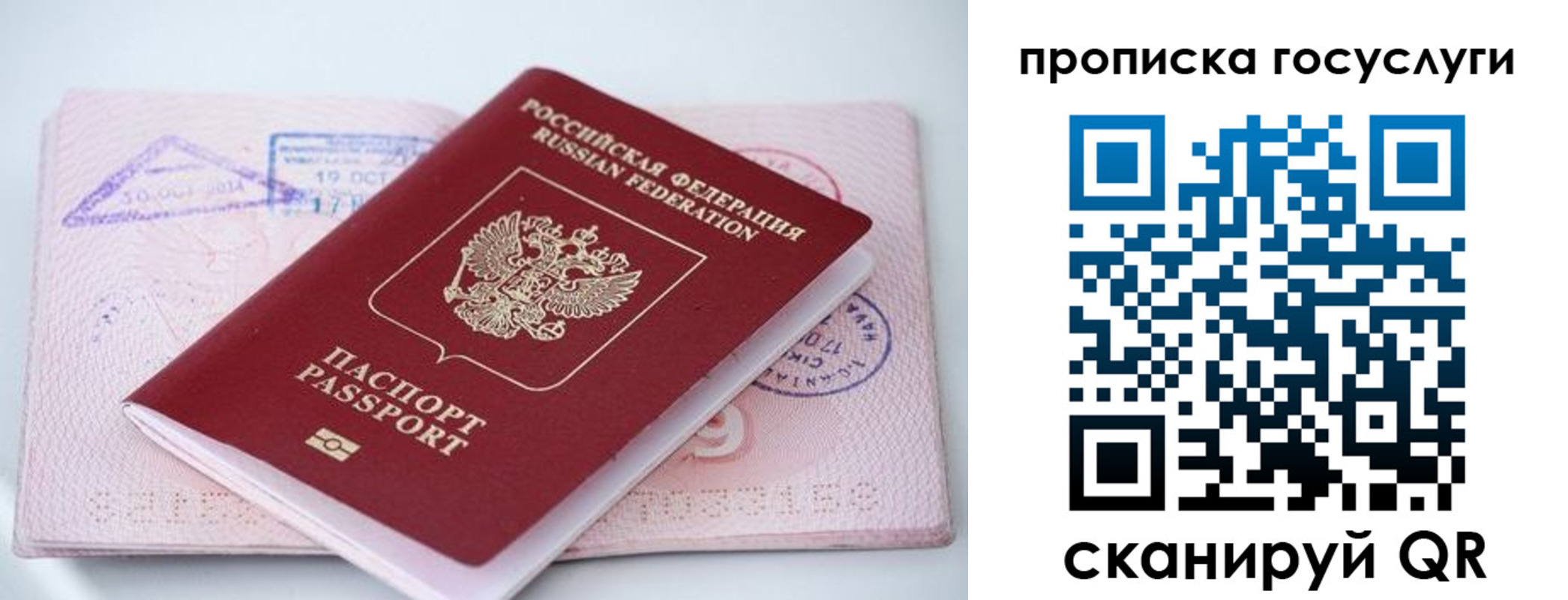 прописка законно в Дмитрове